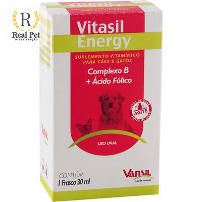 Suplemento Vitamínico Vansil Vitasil Energy